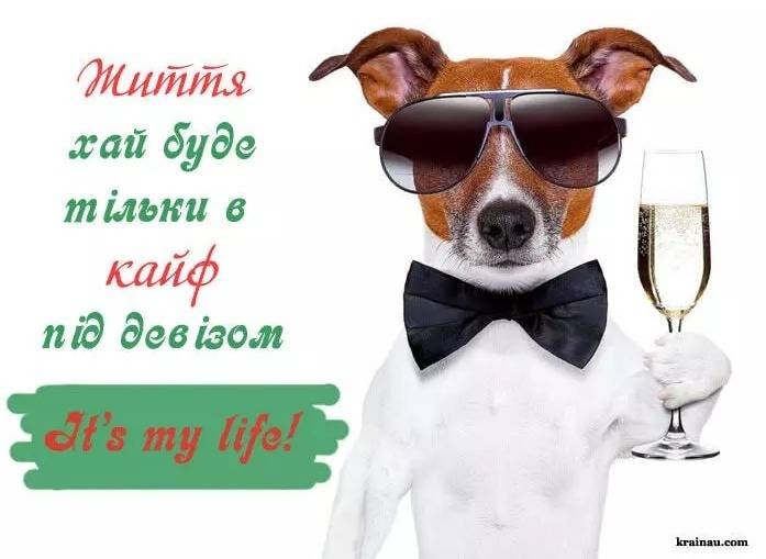 Прикольні картинки з Днем народження чоловіків