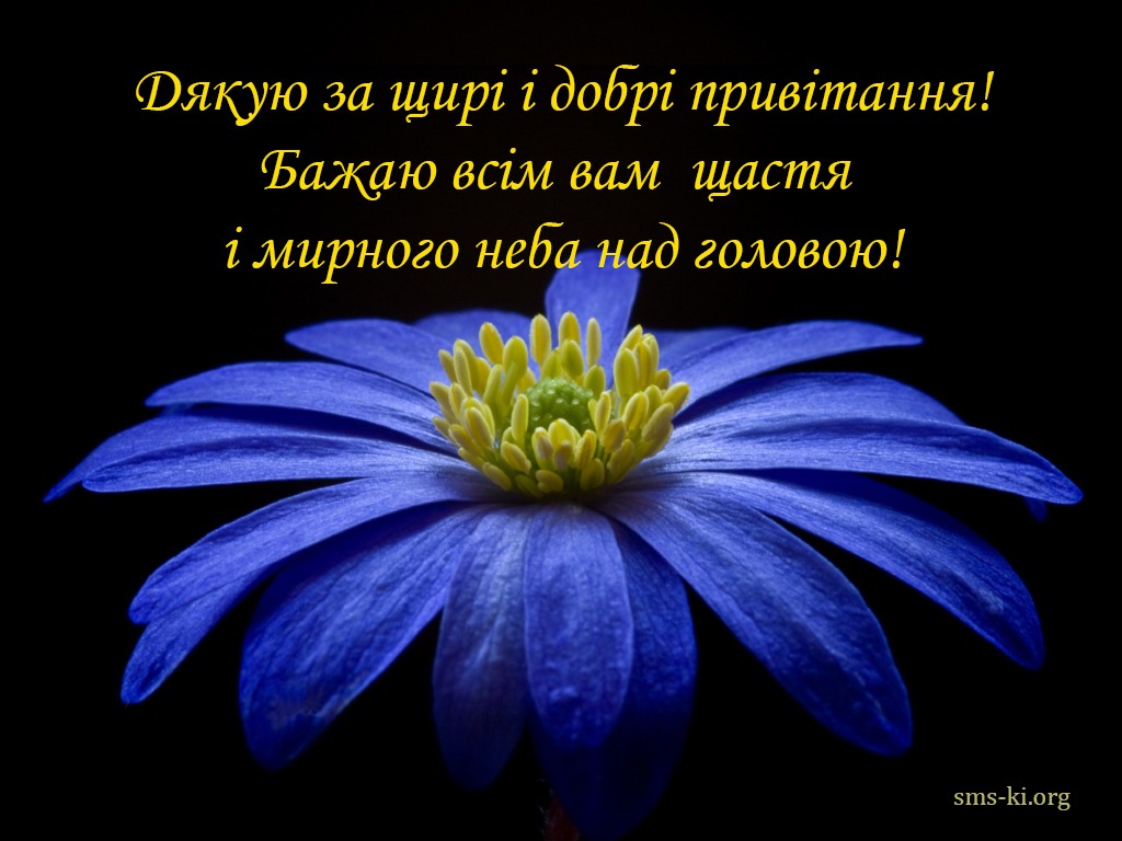 Щиро дякую за привітання