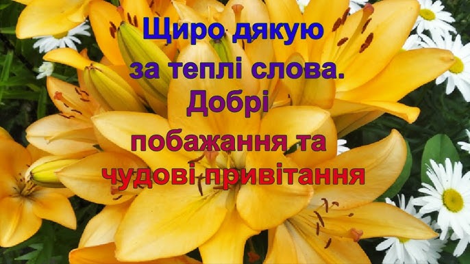 Щиро дякую за привітання