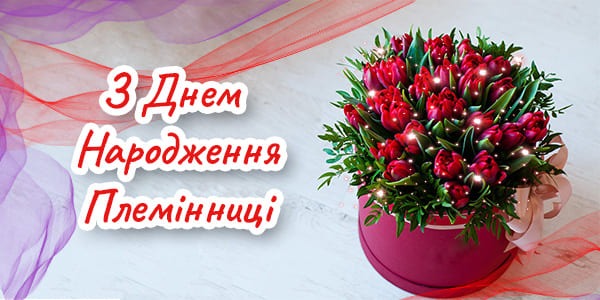 привітання з днем народження племінниці