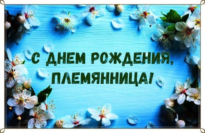 привітання з днем народження племінниці